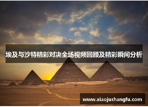 埃及与沙特精彩对决全场视频回顾及精彩瞬间分析
